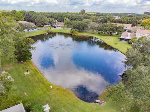 Zen Holistic Retreat By Carrollwood/westchase
