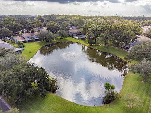 Zen Holistic Retreat By Carrollwood/westchase