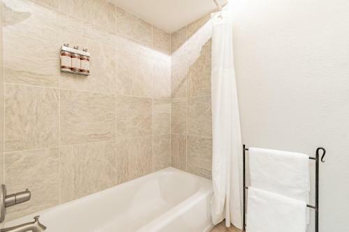 Zen Holistic Retreat By Carrollwood/westchase