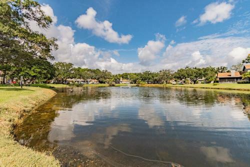 Zen Holistic Retreat By Carrollwood/westchase