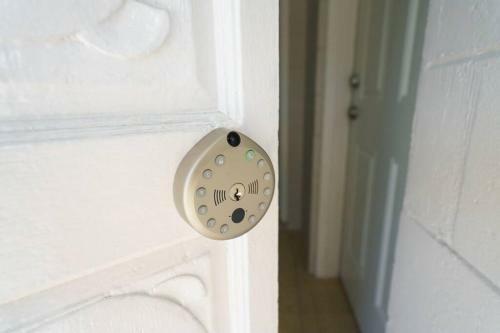 Apartamento New Paris Walking Distance To Bucs Stadium