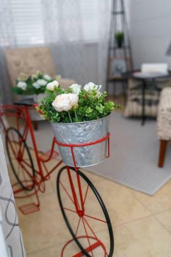 Apartamento New Paris Walking Distance To Bucs Stadium