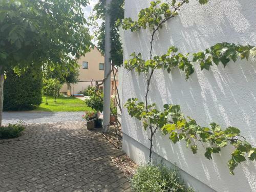 Apartamento An Der B�rgeheide