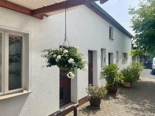 Apartamento An Der B�rgeheide