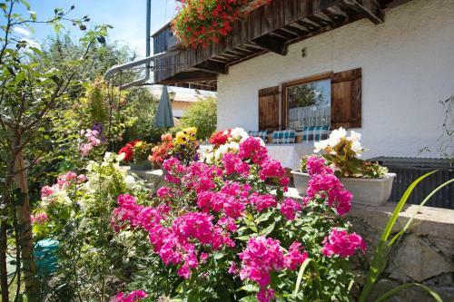 Apartamento L�wenzahn