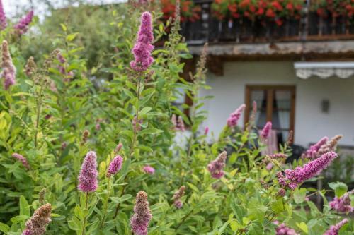 Apartamento Edelwei�