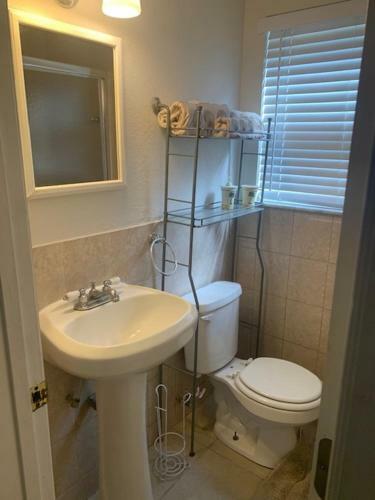 Apartamento Madeira Bonita -2 Min Walk To Beach
