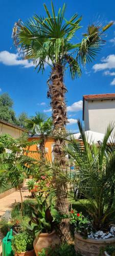 Apartamento Grahl�s Ferienwohnung