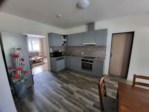 Apartm�n U Kolej� II