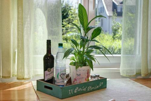Apartamento Haus Rosi