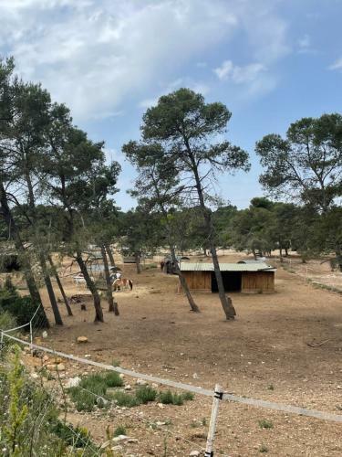 Apartamento Le Beaus�jour