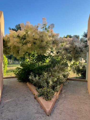 Apartamento Le Beaus�jour