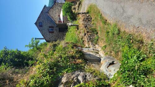 La Camisse