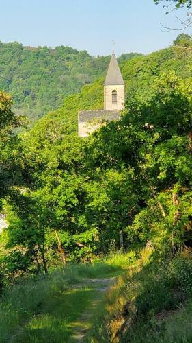 La Camisse