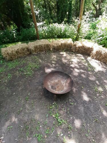 Our Garden