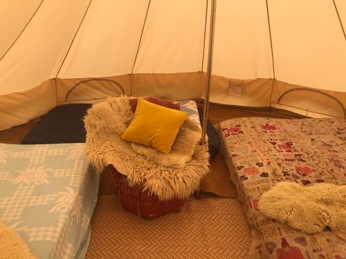 Wild Goose Campsite