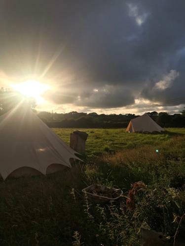 Wild Goose Campsite