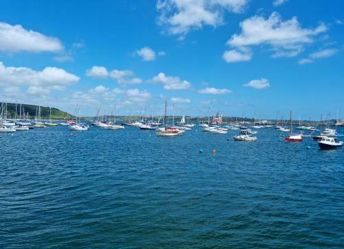 Newly Refurbished Falmouth Town Centre Apartment