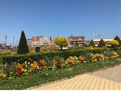 Apartamento Appart Amazonas Calais - Proche Gare & Plage de Sable Fin