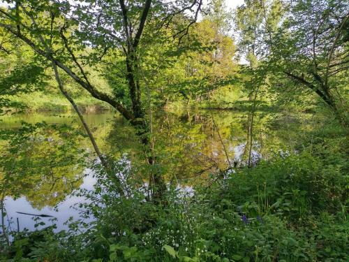 Bed & Breakfast Verte Vall�e