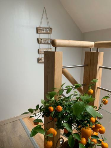 Le Cocon Des Hortillonnages