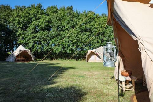 The Queens Head Camping