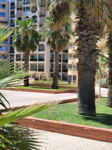 Apartamento Joli F2 En Bord de Mer