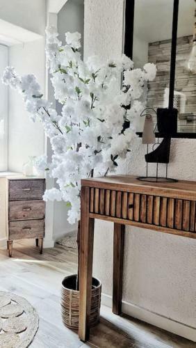 Apartamento #new#appart Cosy#pied de La Cit�#3