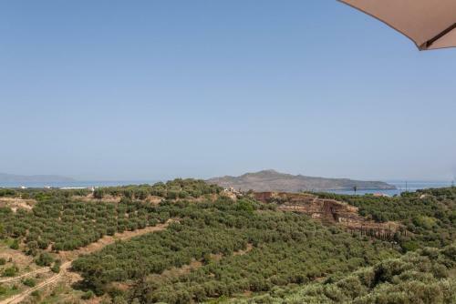 Hillside Seaview Apartment