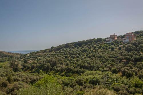 Hillside Seaview Apartment