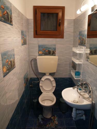 Ilioni's House