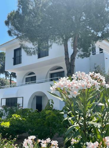 Azero Villa Skiathos