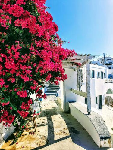 Apartamento Villa Christina