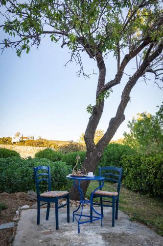 Villa Evia Escape