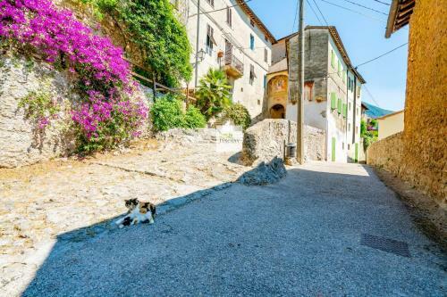 La Ghiandaia By Betuscany