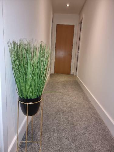 Apartamento Buchanan Street