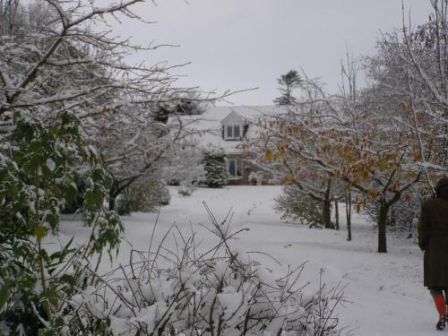 Bed & Breakfast Killurin Lodge