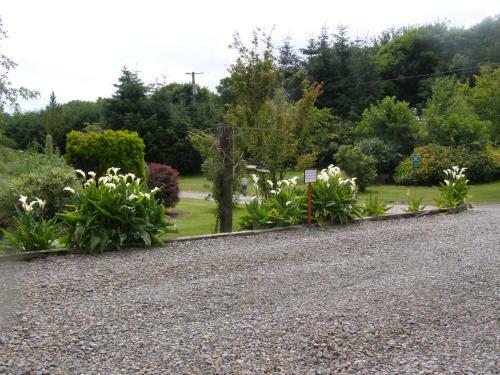 Bed & Breakfast Killurin Lodge