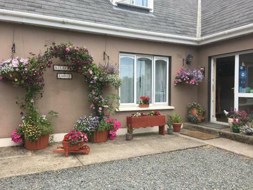 Bed & Breakfast Killurin Lodge