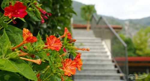 Bed & Breakfast Affittacamere La Martina
