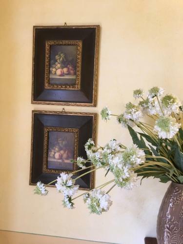 Bed & Breakfast Villa Della Certosa