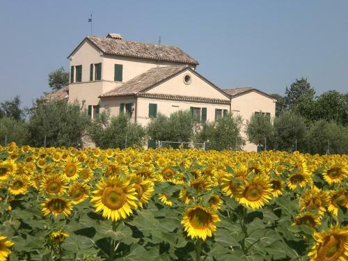 Bed & Breakfast I Ciliegi