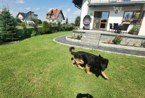 Apartament Pod Ob?azow?