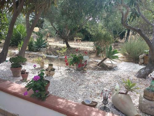 Villa Casa Di Campagna Angolo Di Pace