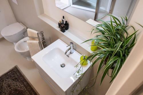 Apartamento Mini Amina