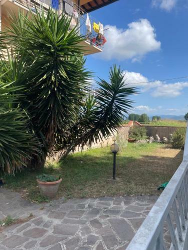 La Yucca