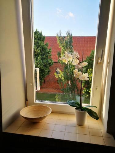 Apartamento Legata