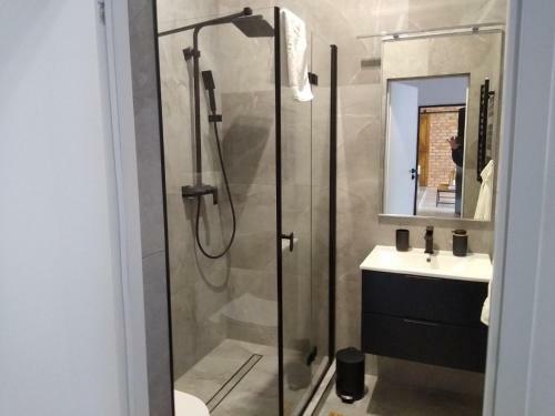 Apartament Loft