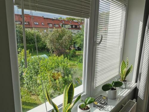Przytulny Apartament Szymanowskiego