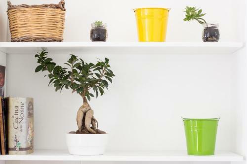 Apartamento Pirandello Holidays